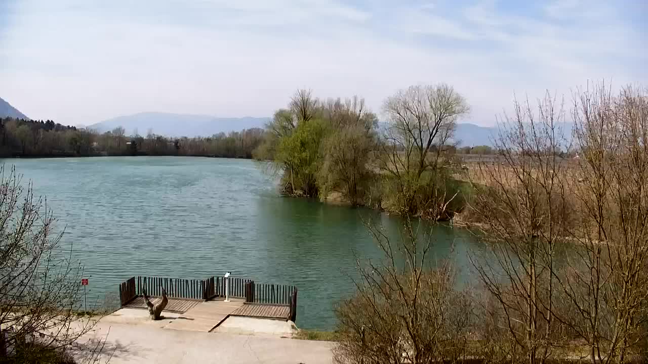 Webcam Ribnik Vrbje – Žalec