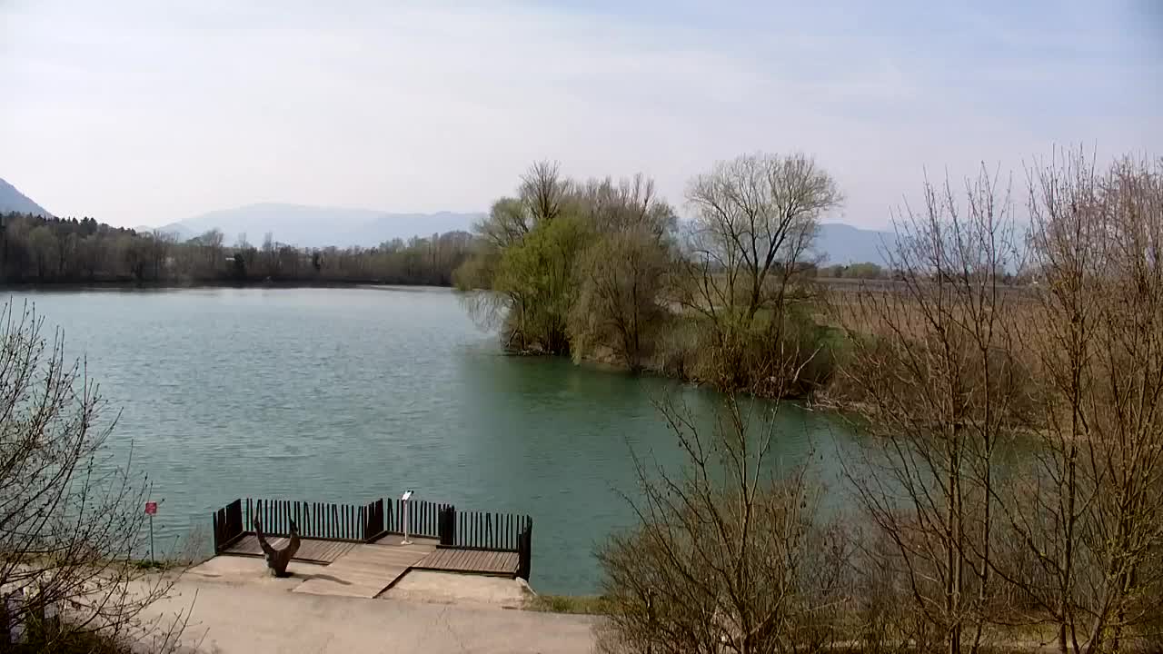 Webcam Ribnik Vrbje – Žalec