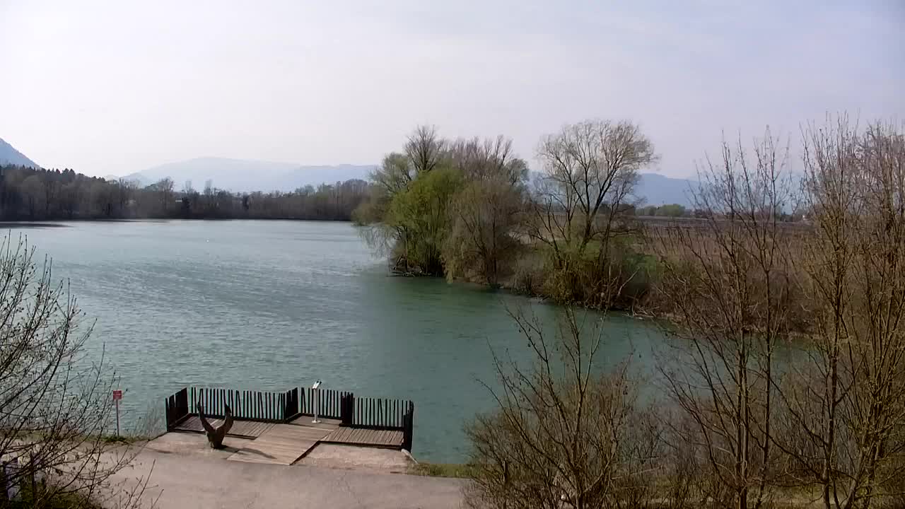 Spletna kamera Ribnik Vrbje – Žalec