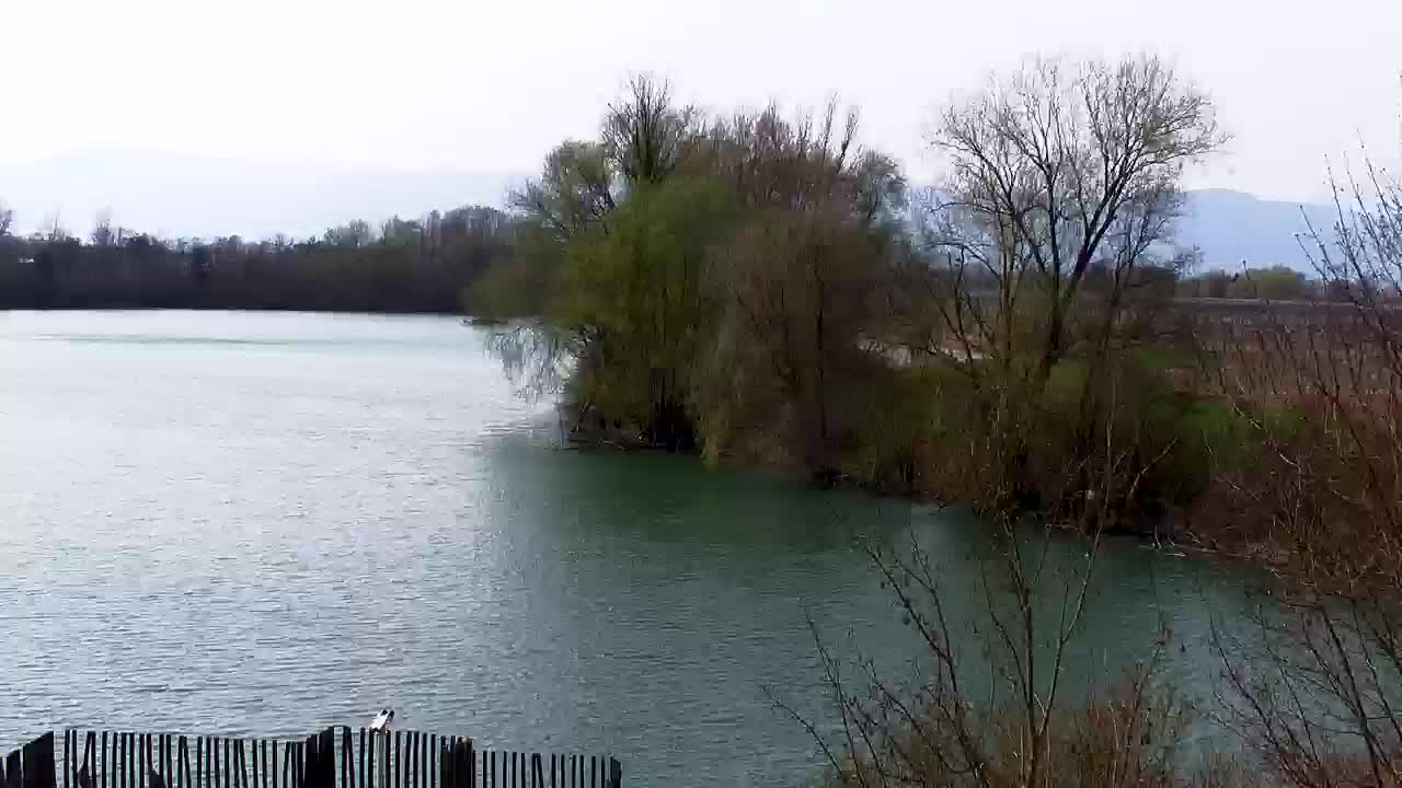 Spletna kamera Ribnik Vrbje – Žalec