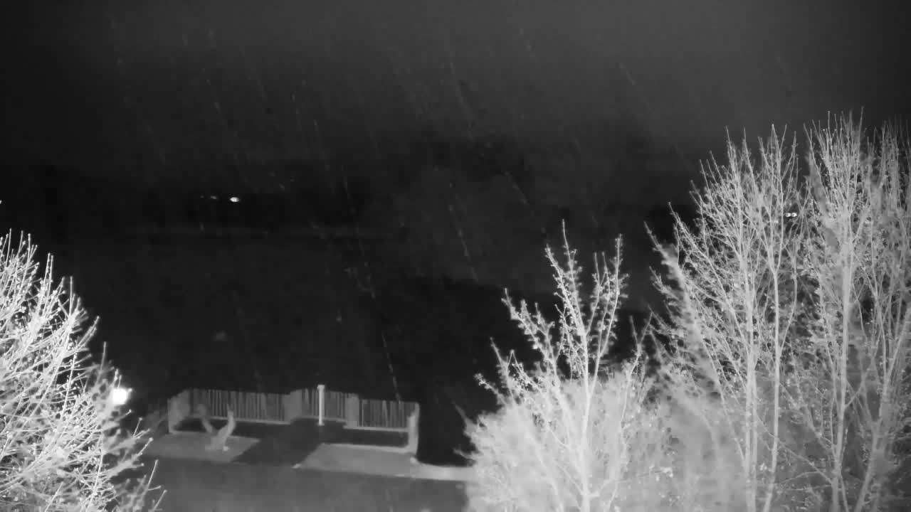 Webcam Ribnik Vrbje – Žalec