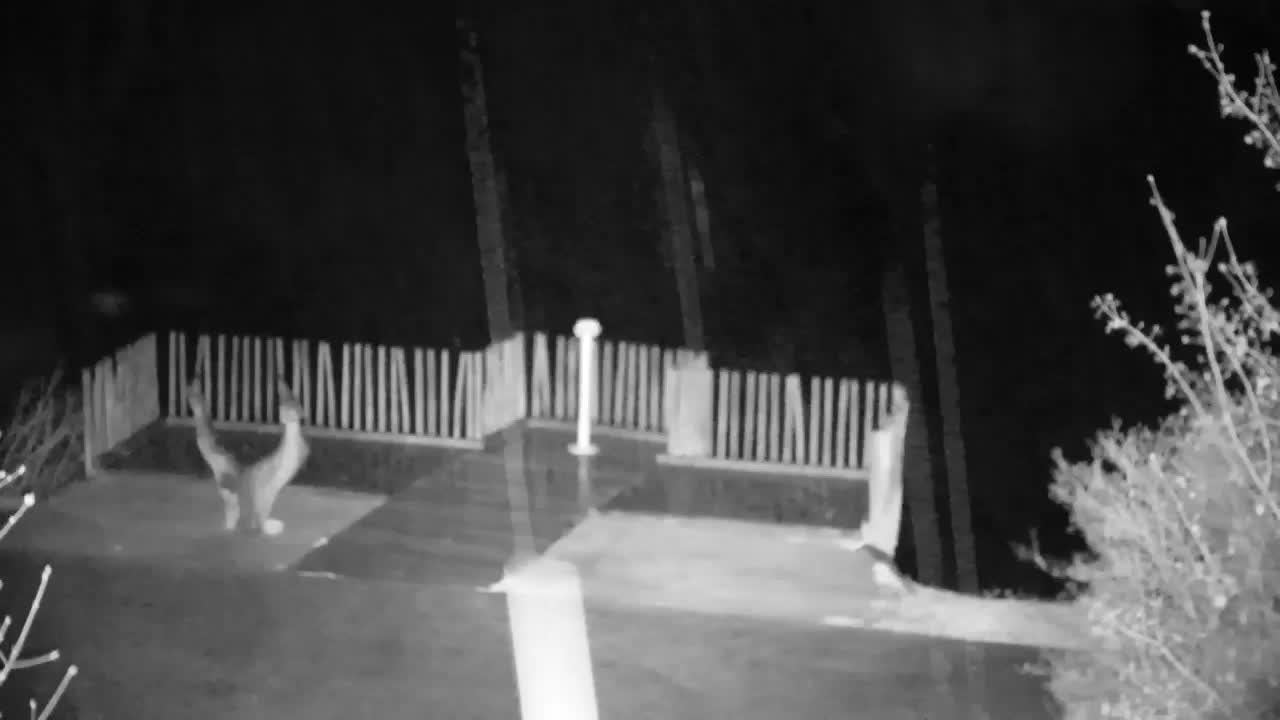 Webcam Ribnik Vrbje – Žalec