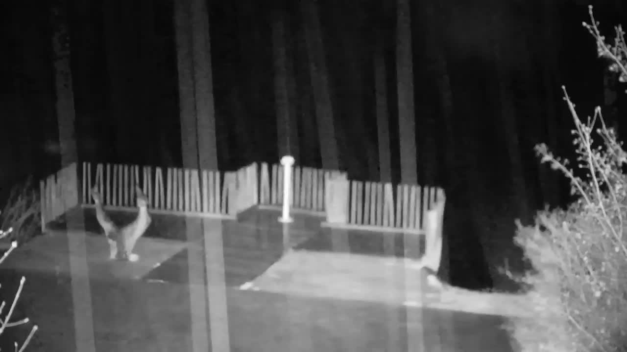 Webcam Ribnik Vrbje – Žalec