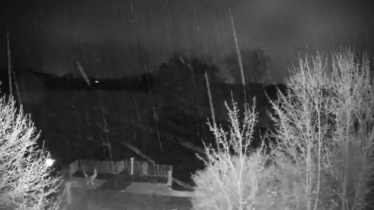 Webcam Ribnik Vrbje – Žalec