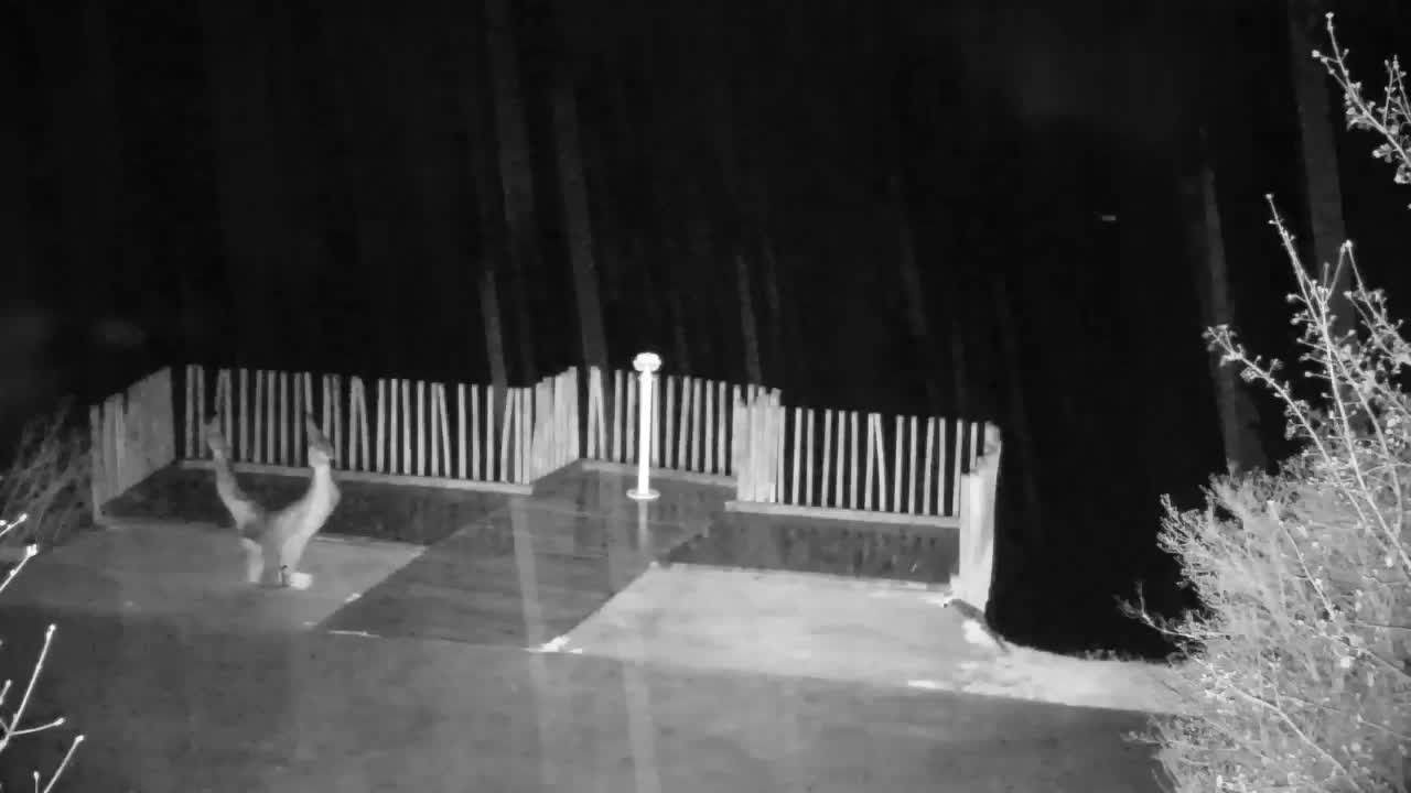 Webcam Ribnik Vrbje – Žalec