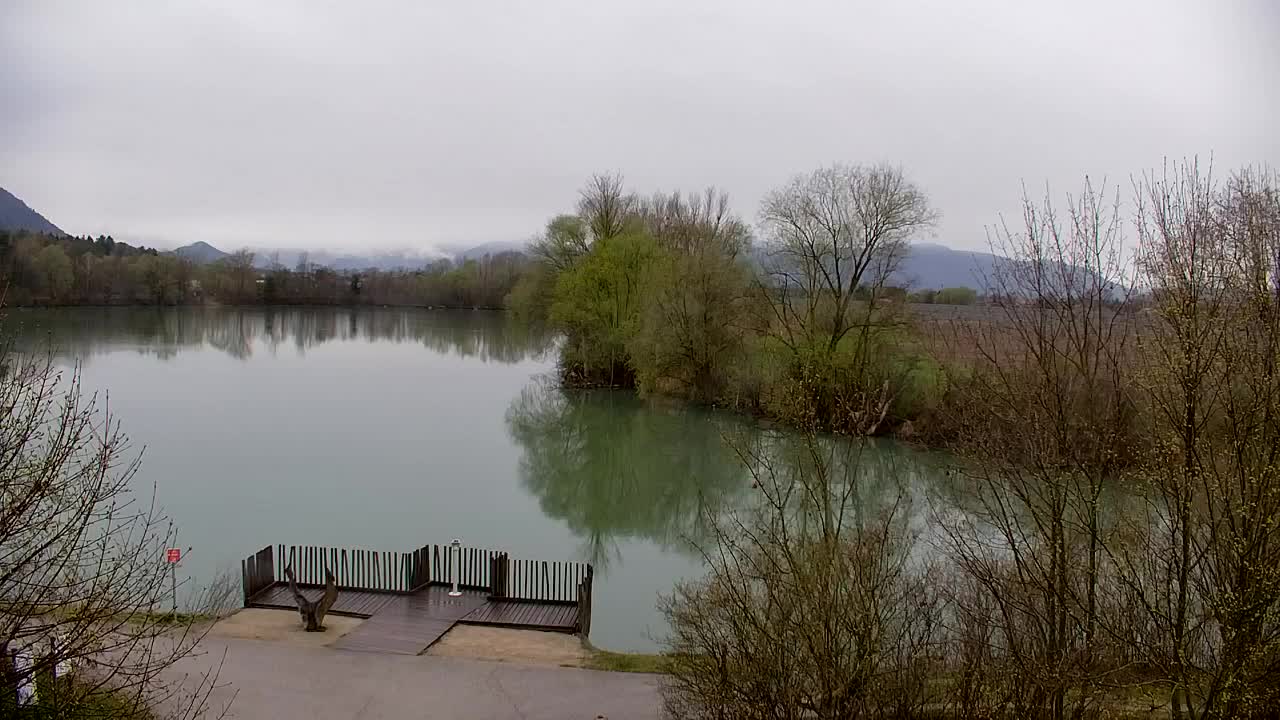 Webcam Ribnik Vrbje – Žalec