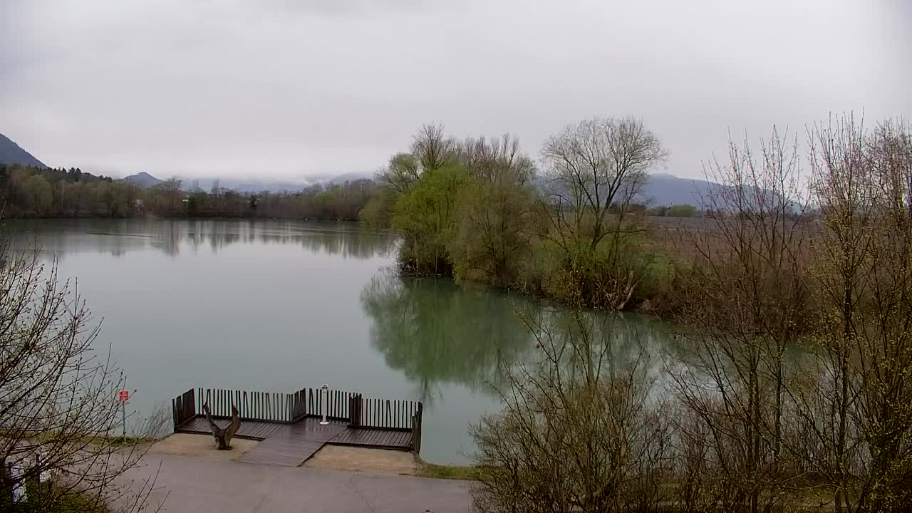 Webcam Ribnik Vrbje – Žalec