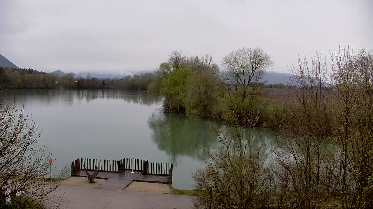 Webcam Ribnik Vrbje – Žalec