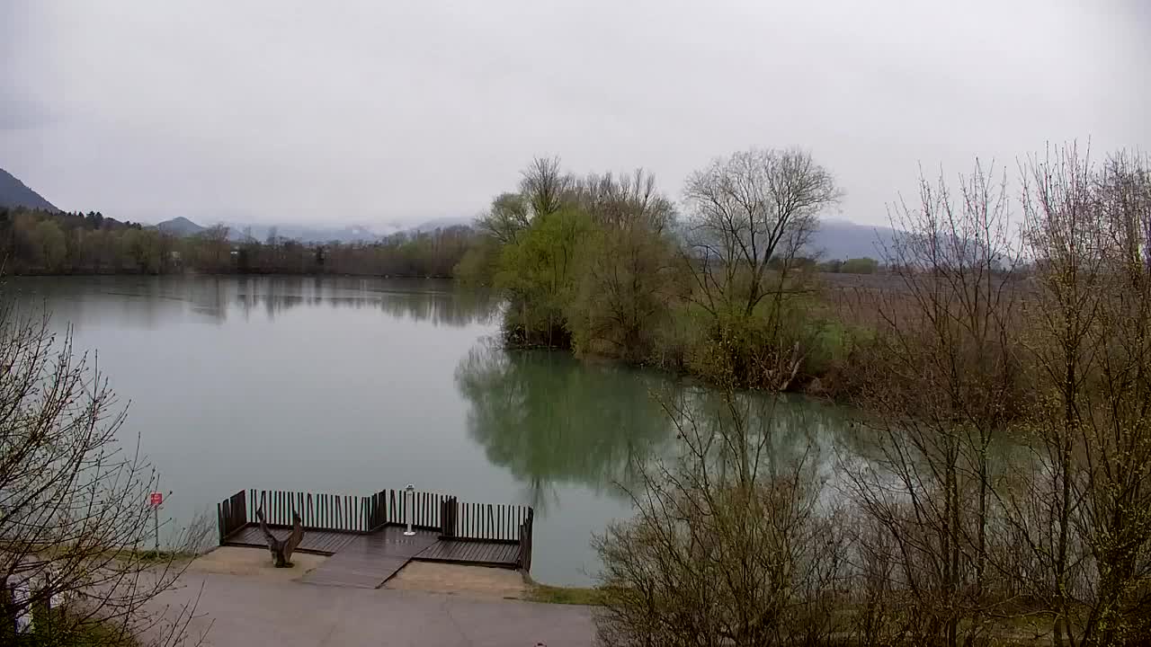 Webcam Ribnik Vrbje – Žalec