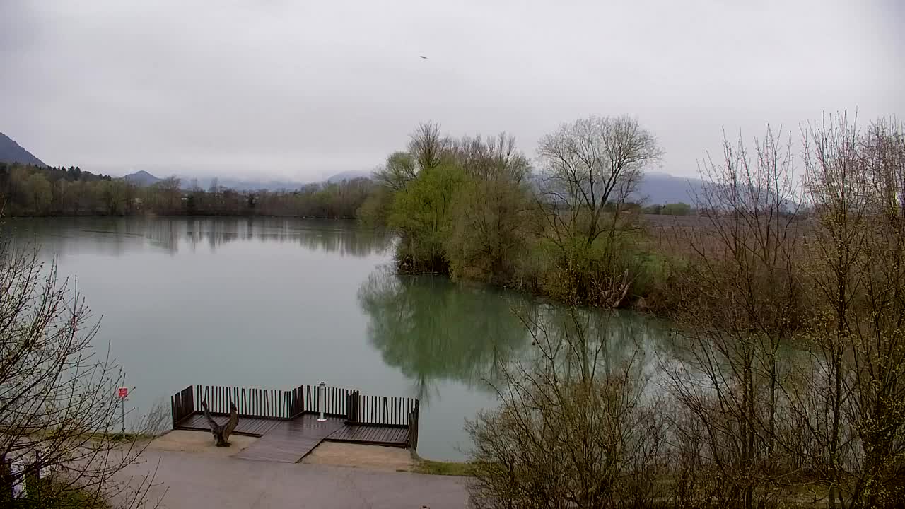 Webcam Ribnik Vrbje – Žalec