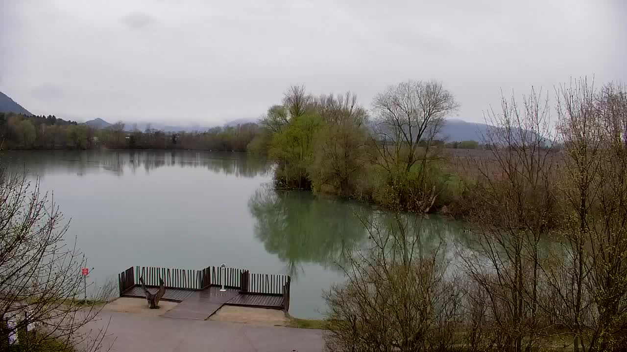 Webcam Ribnik Vrbje – Žalec