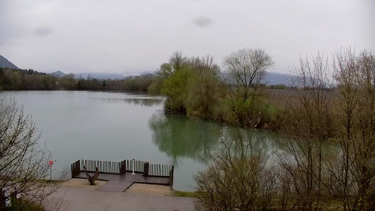 Webcam Ribnik Vrbje – Žalec