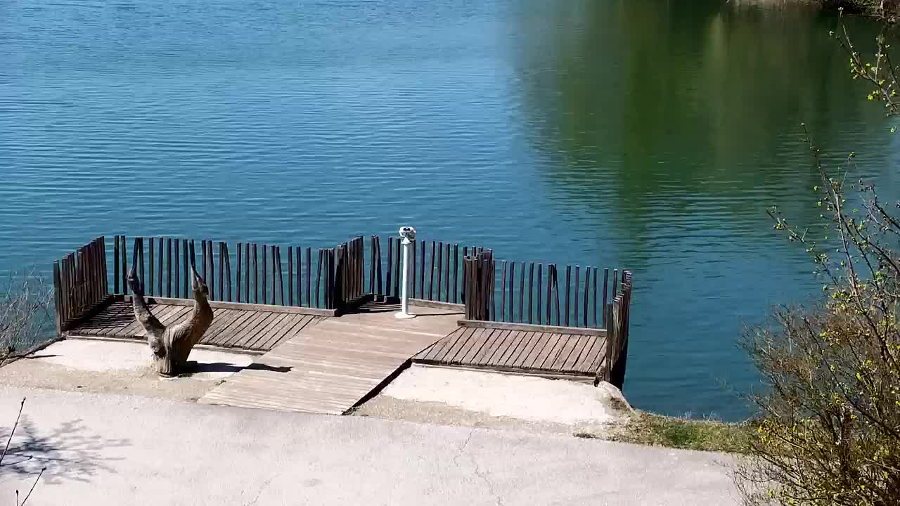 Webcam Ribnik Vrbje – Žalec