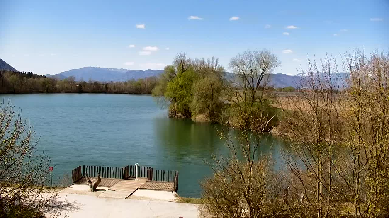 Webcam Ribnik Vrbje – Žalec