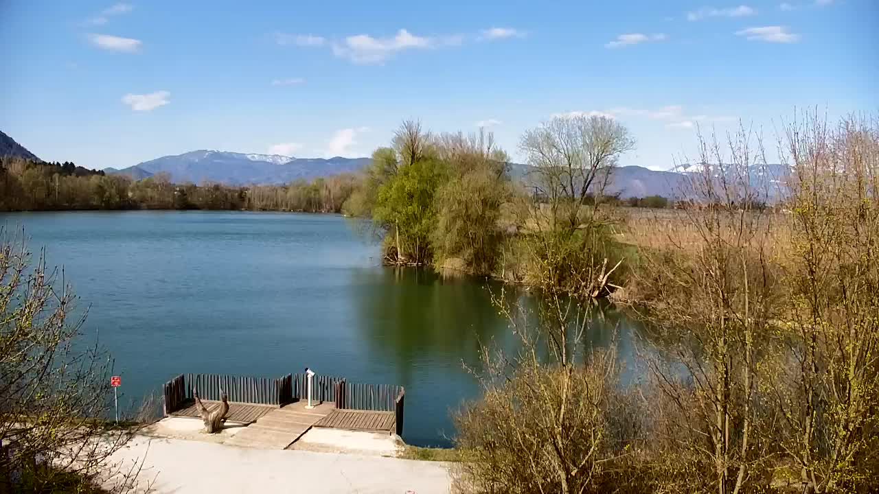 Spletna kamera Ribnik Vrbje – Žalec