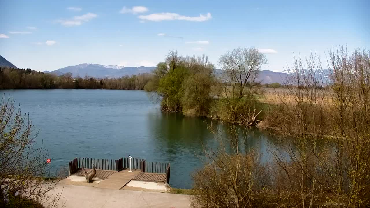 Spletna kamera Ribnik Vrbje – Žalec