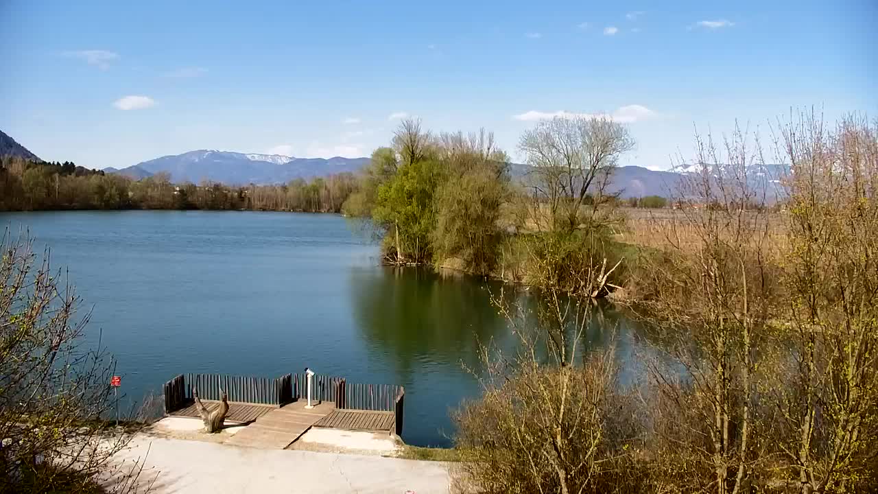 Web kamera Ribnik Vrbje – Žalec