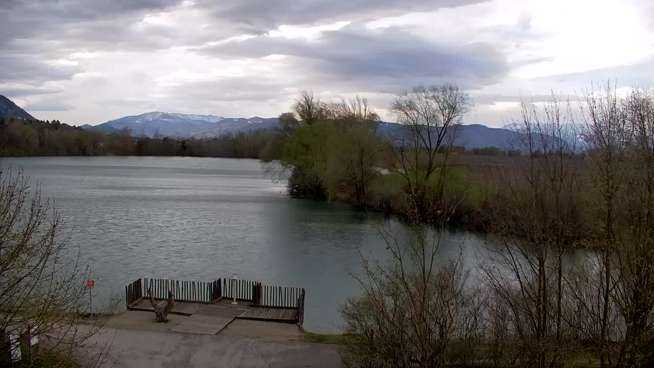 Spletna kamera Ribnik Vrbje – Žalec