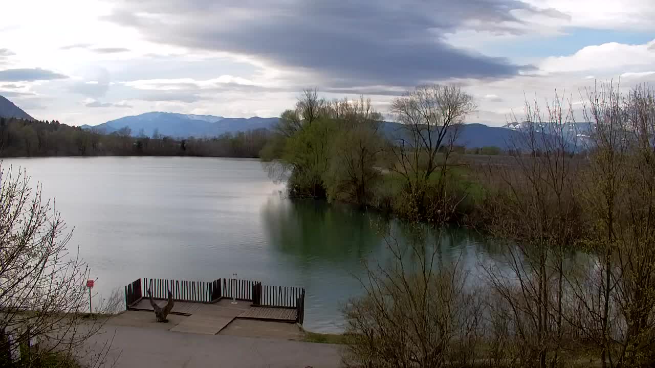 Webcam Ribnik Vrbje – Žalec