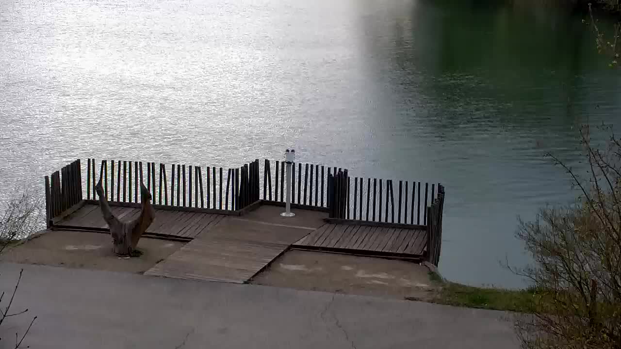 Webcam Ribnik Vrbje – Žalec