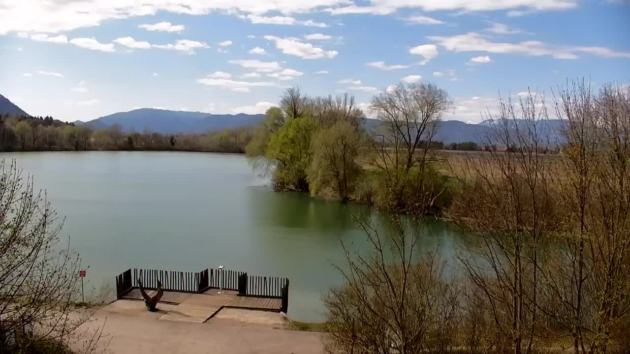 Webcam Ribnik Vrbje – Žalec