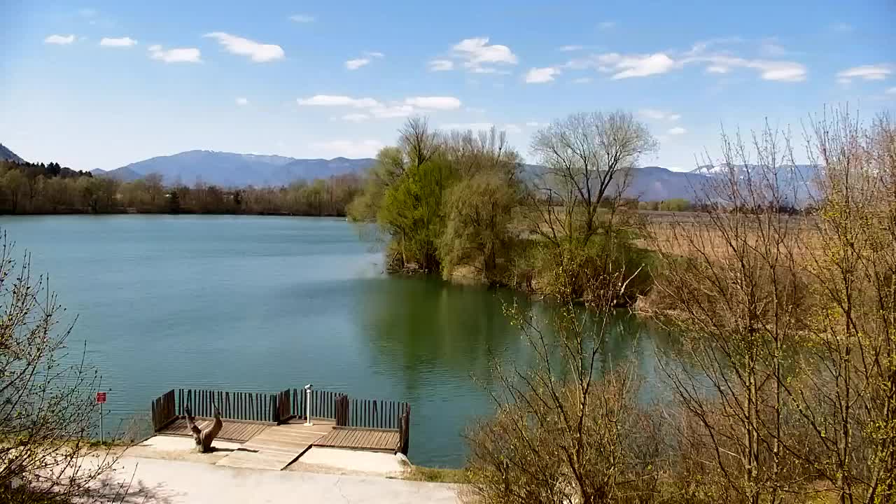 Spletna kamera Ribnik Vrbje – Žalec