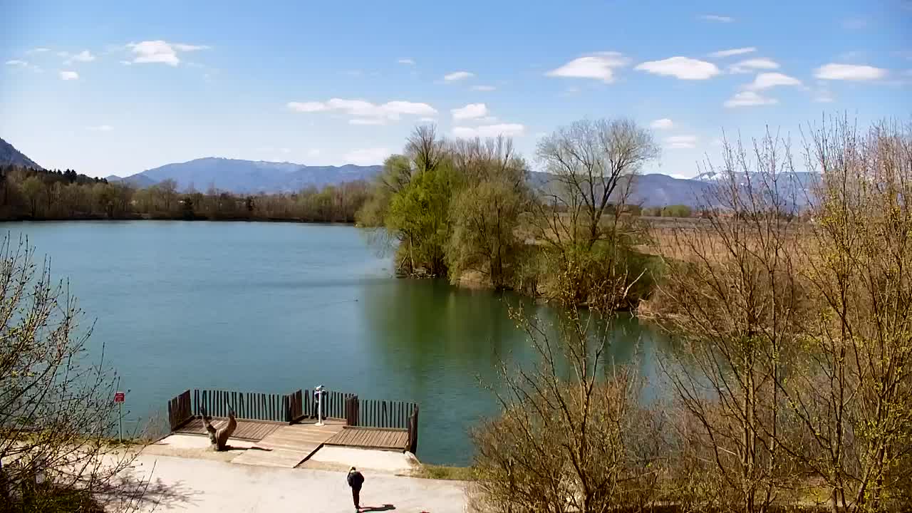 Webcam Ribnik Vrbje – Žalec