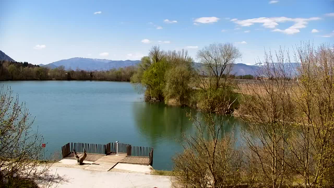 Webcam Ribnik Vrbje – Žalec