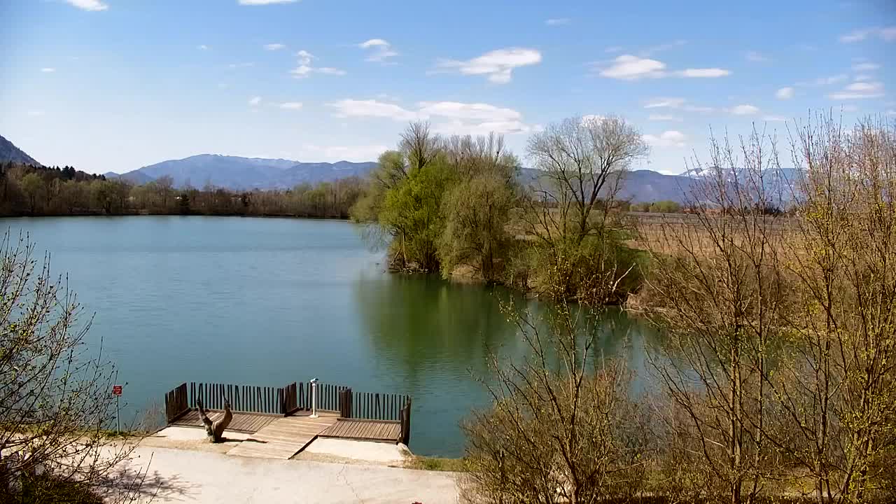 Webcam Ribnik Vrbje – Žalec