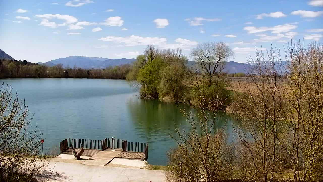 Webcam Ribnik Vrbje – Žalec