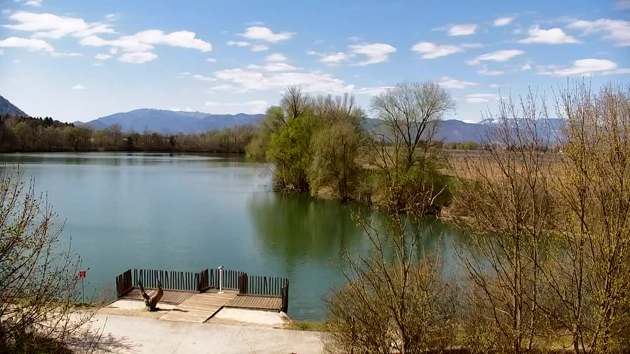 Spletna kamera Ribnik Vrbje – Žalec