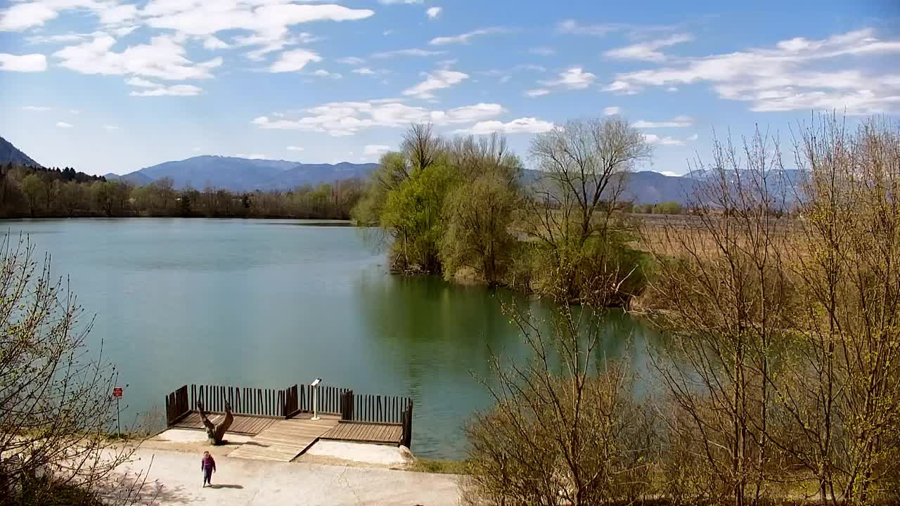 Webcam Ribnik Vrbje – Žalec