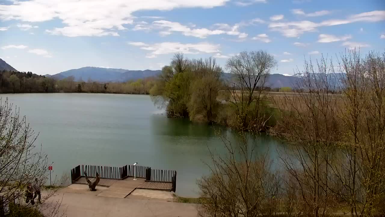 Webcam Ribnik Vrbje – Žalec