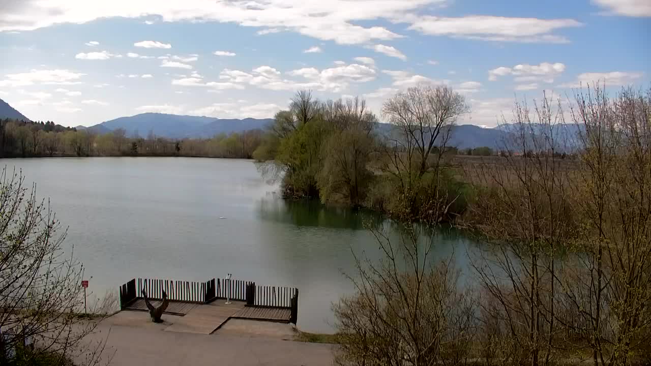 Webcam Ribnik Vrbje – Žalec