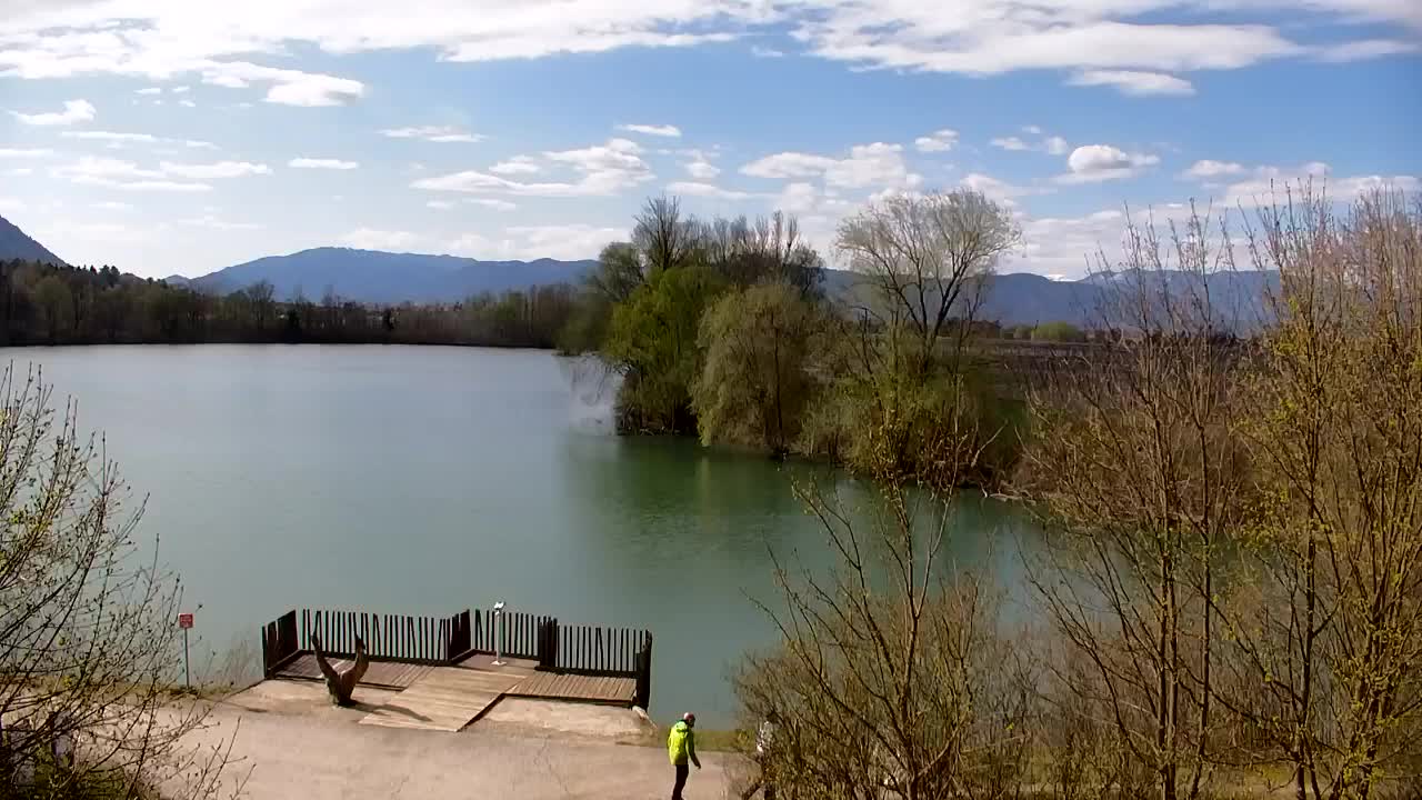 Webcam Ribnik Vrbje – Žalec