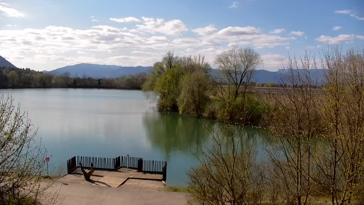 Spletna kamera Ribnik Vrbje – Žalec