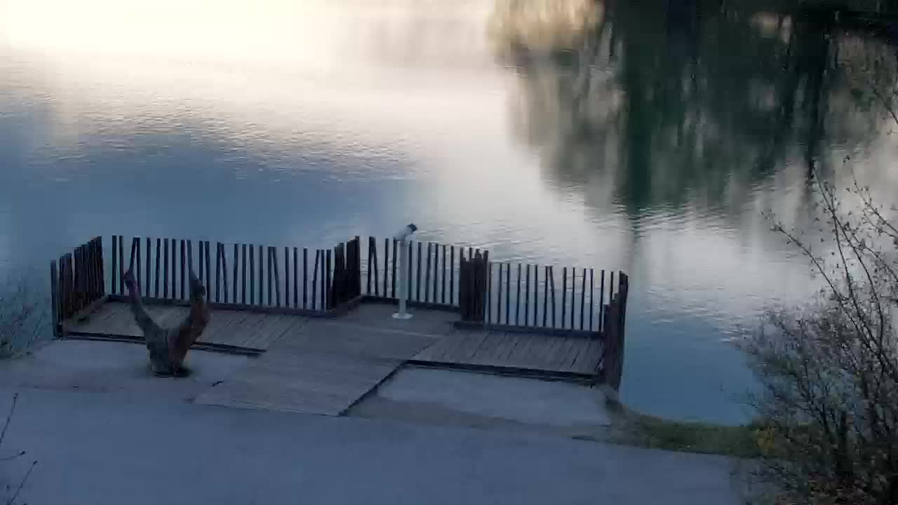 Web kamera Ribnik Vrbje – Žalec