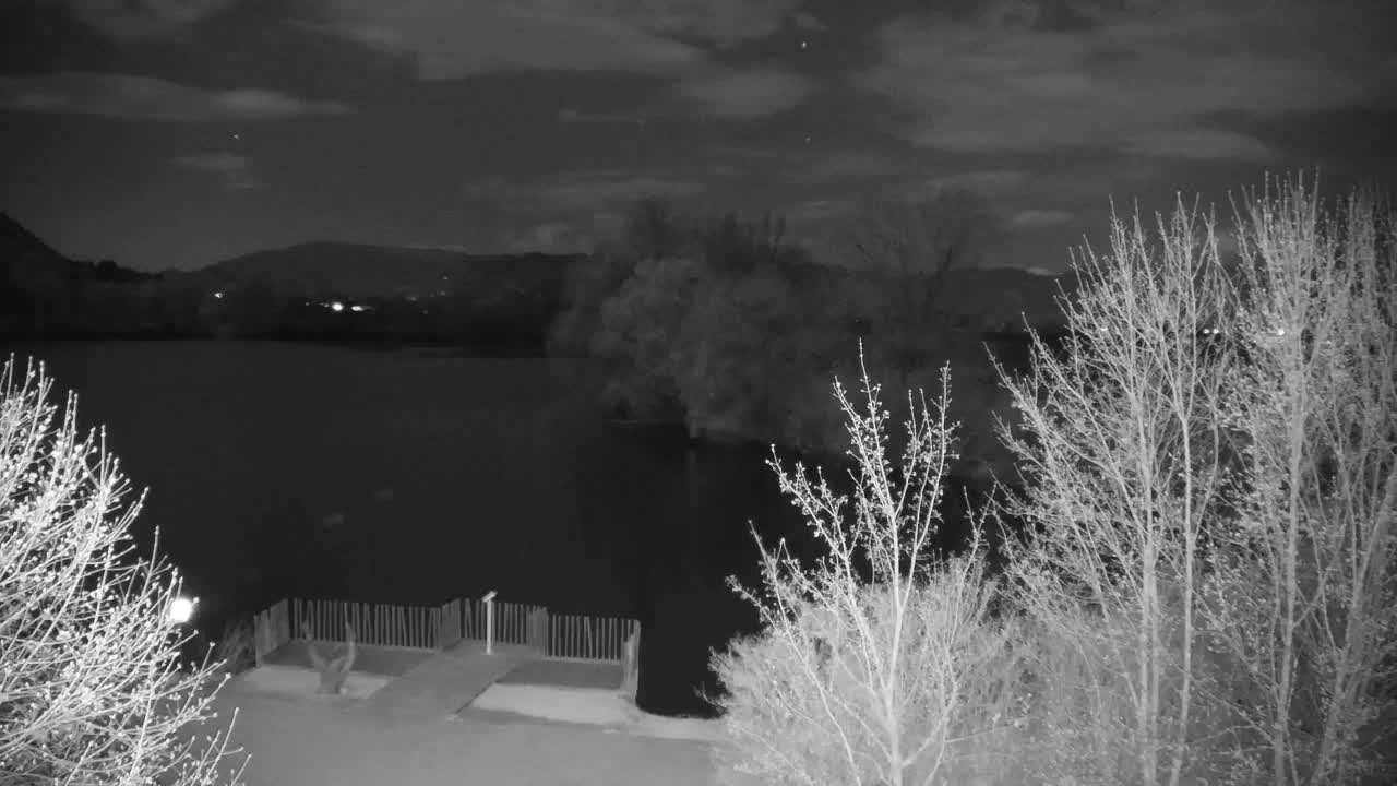 Webcam Ribnik Vrbje – Žalec