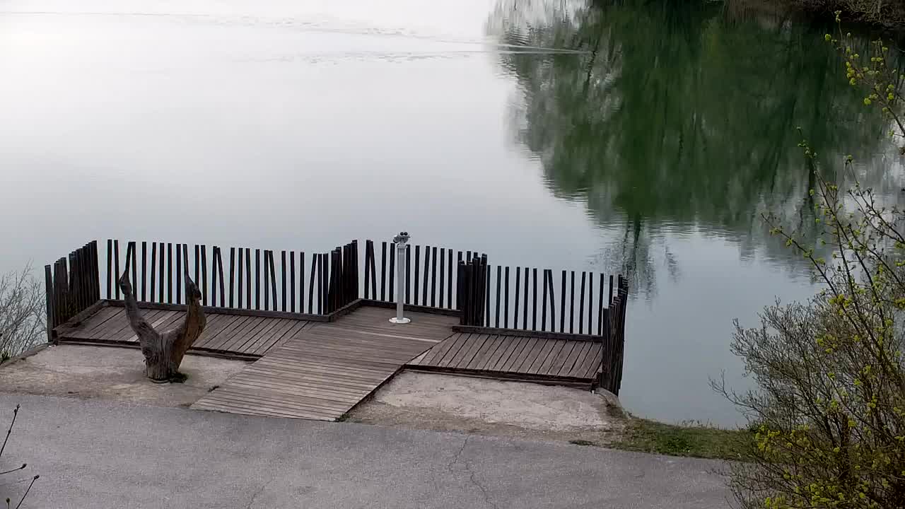 Webcam Ribnik Vrbje – Žalec