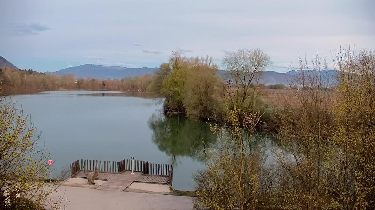 Webcam Ribnik Vrbje – Žalec