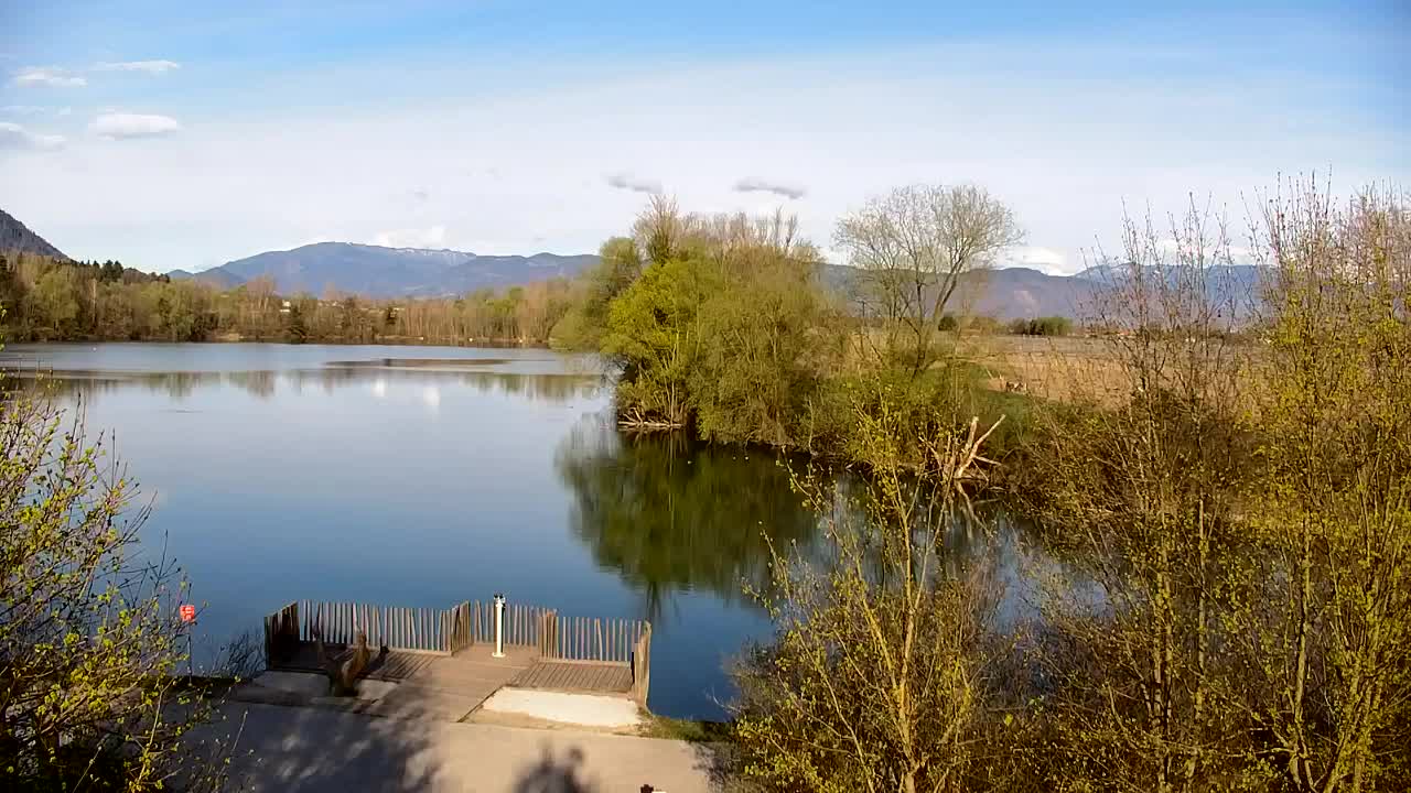 Webcam Ribnik Vrbje – Žalec