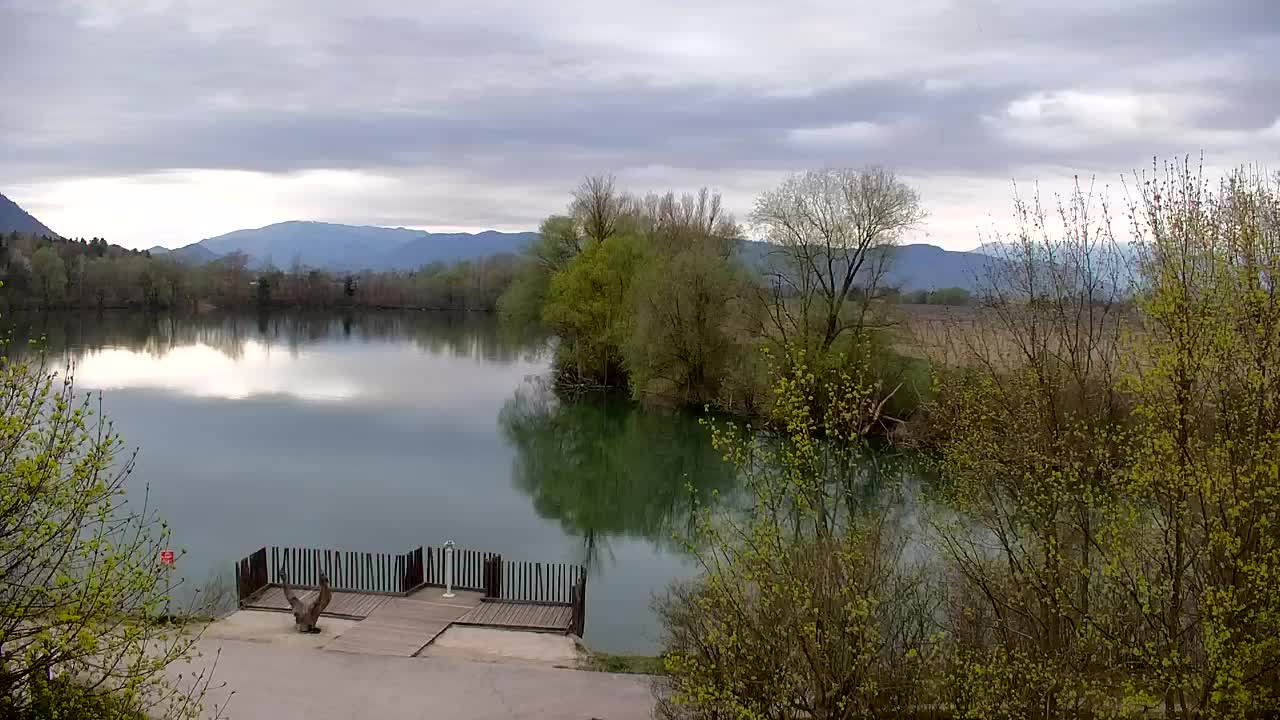 Spletna kamera Ribnik Vrbje – Žalec