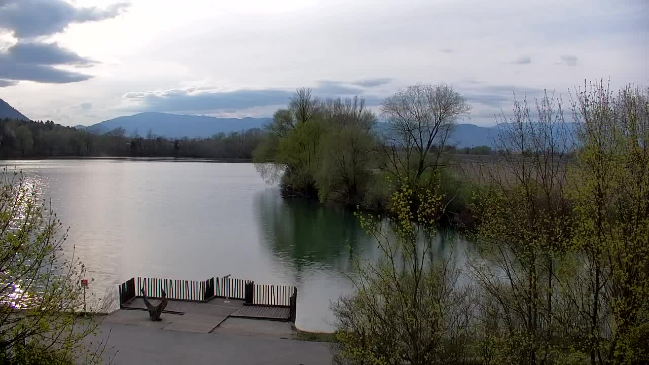 Spletna kamera Ribnik Vrbje – Žalec