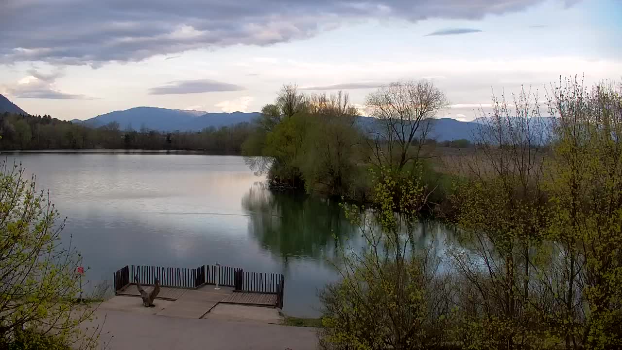 Webcam Ribnik Vrbje – Žalec