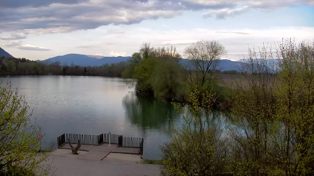 Web kamera Ribnik Vrbje – Žalec