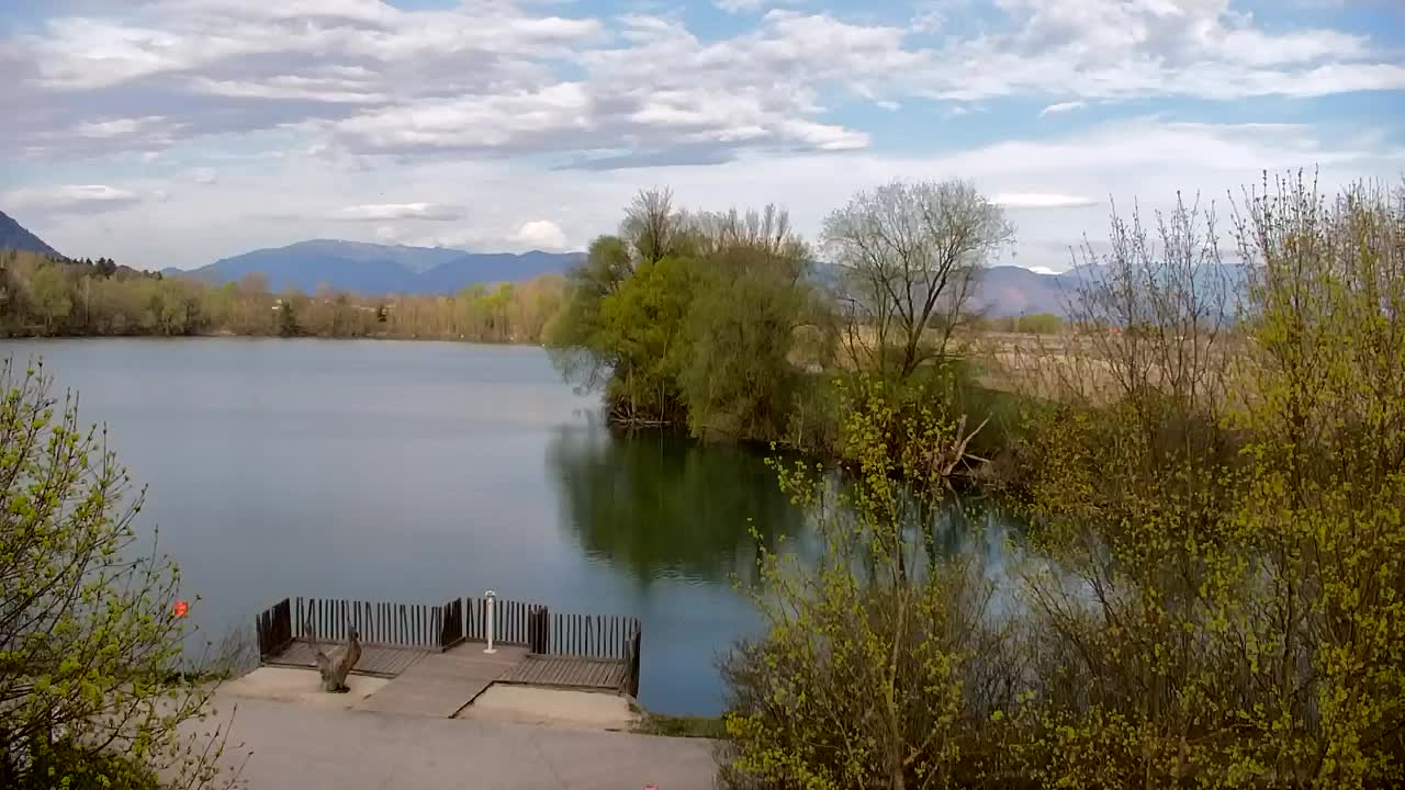 Webcam Ribnik Vrbje – Žalec