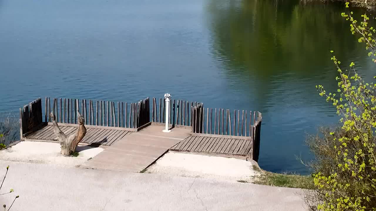 Webcam Ribnik Vrbje – Žalec