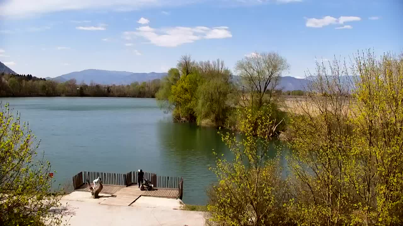 Webcam Ribnik Vrbje – Žalec