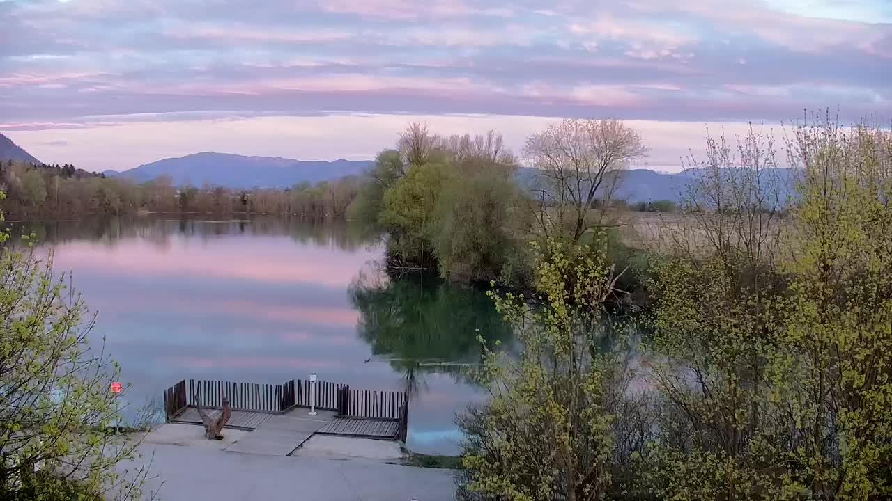 Webcam Ribnik Vrbje – Žalec