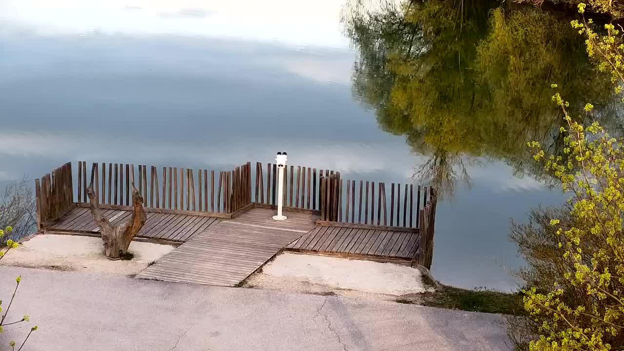 Webcam Ribnik Vrbje – Žalec